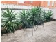 4 Weir Street, Largs Bay SA 5016
