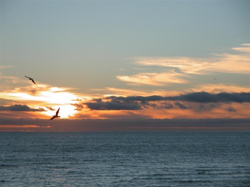 9 Hampton Crescent, Largs Bay SA 5016