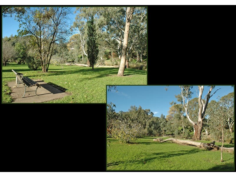 6 Horwood Avenue, Rostrevor SA 5073