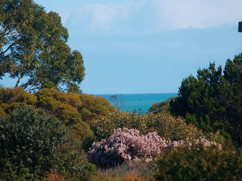 29 Mountain Avenue, Normanville SA 5204