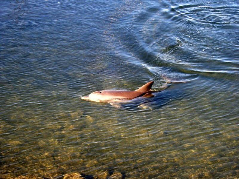 6  Karatta Dock, Port Adelaide SA 5015