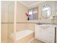 19 Fox Avenue, Athelstone SA 5076