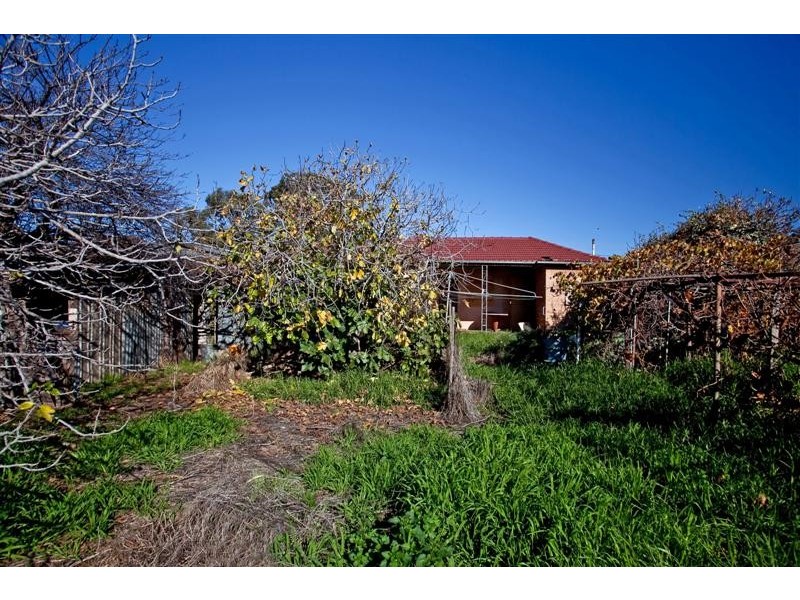6 Royal Terrace, Royal Park SA 5014
