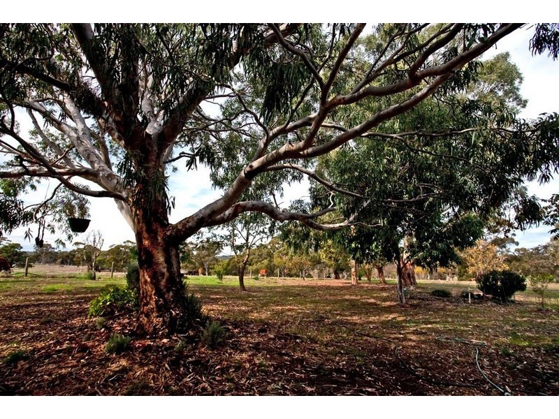 2 Sidler Road, Meadows SA 5201