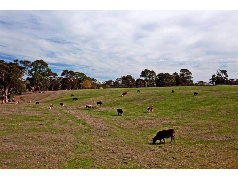 2 Sidler Road, Meadows SA 5201