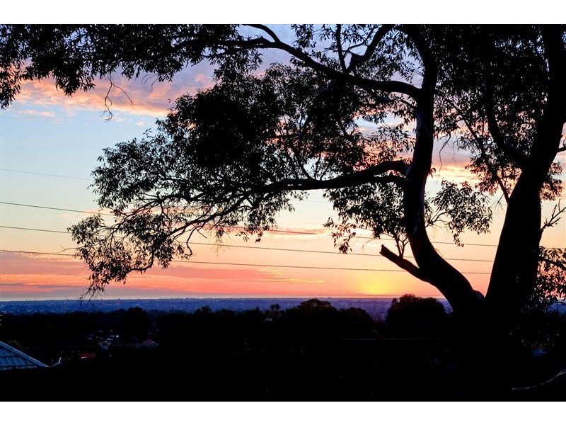 4/29 Norton Summit Road, Woodforde SA 5072