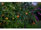 14 Ariel Street, Pennington SA 5013