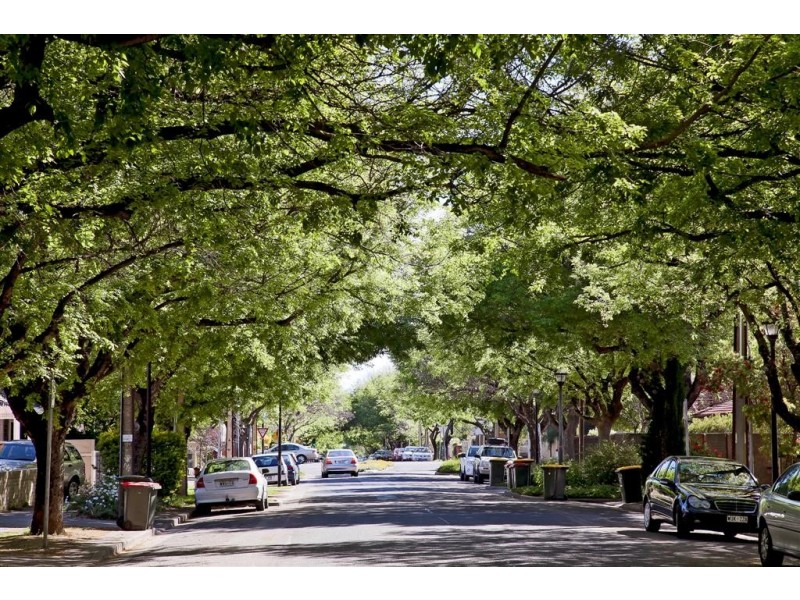 156 Gover Street, North Adelaide SA 5006