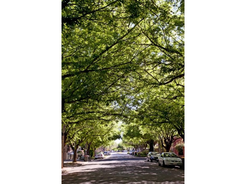 156 Gover Street, North Adelaide SA 5006