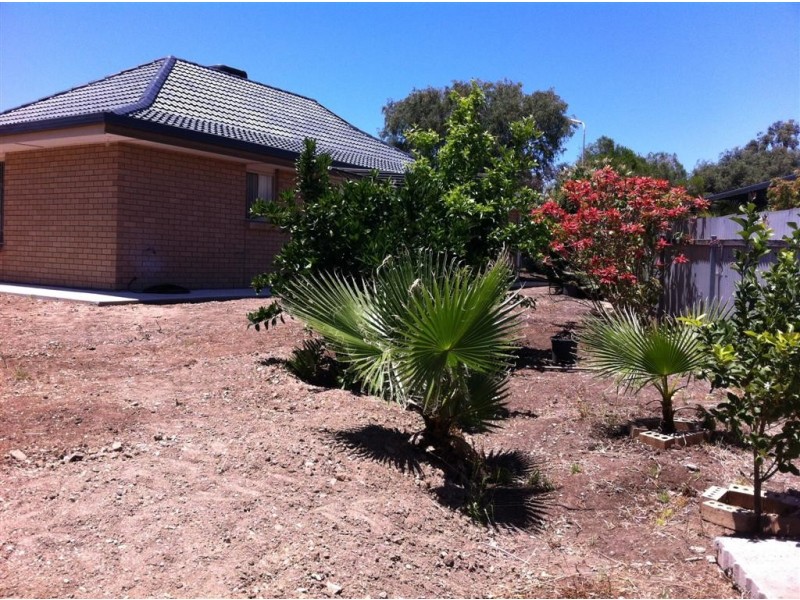 21 Niemeyer Crescent, St Agnes SA 5097