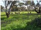 Lot 85 Edward Street, Strathalbyn SA 5255