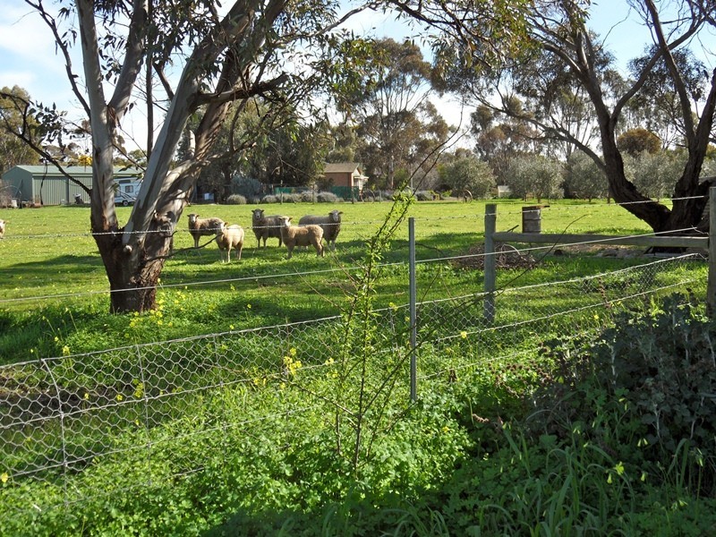 Lot 85 Edward Street, Strathalbyn SA 5255