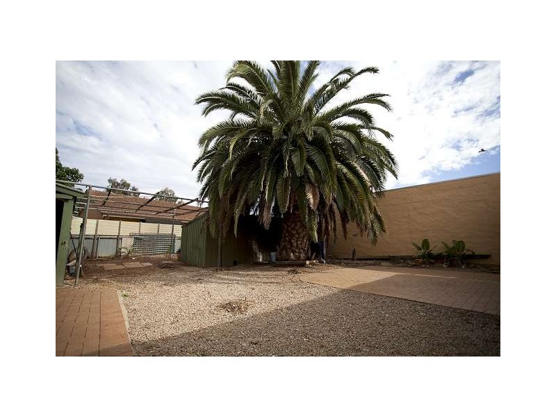 41 Jacaranda Drive, Salisbury East SA 5109