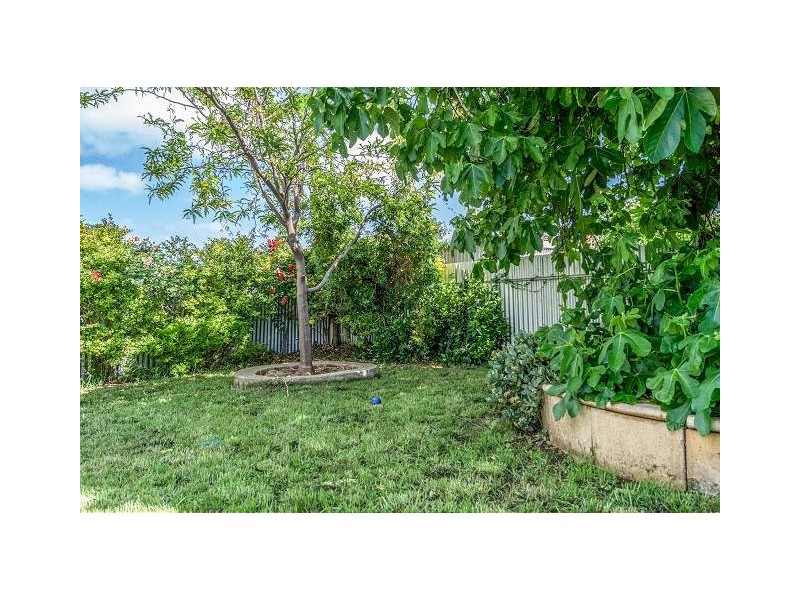 4 Lorne Street, Albert Park SA 5014