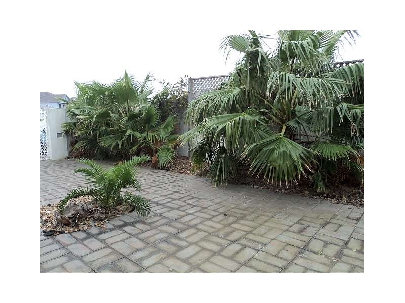 29 ANACONDA DRIVE, North Haven SA 5018