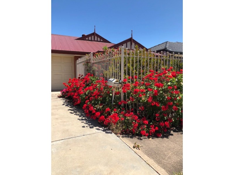 17 Riverina Street, Largs North SA 5016