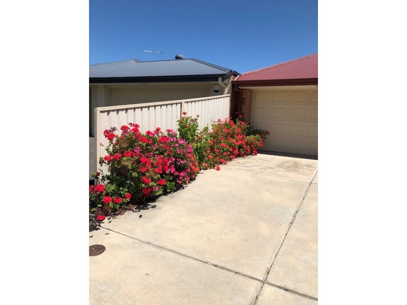 17 Riverina Street, Largs North SA 5016