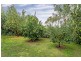 25 Hanson Street, Semaphore SA 5019