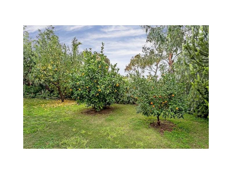 25 Hanson Street, Semaphore SA 5019