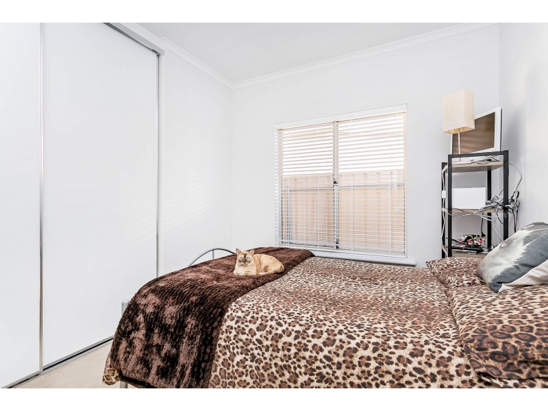 12 George Street, Semaphore Park SA 5019