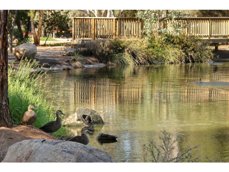 88A Tarranna Avenue, Park Holme SA 5043