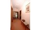 62 Fisher Street, Fullarton SA 5063