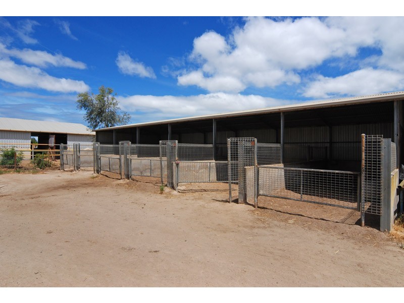 17 Trotters Drive, Globe Derby Park SA 5110