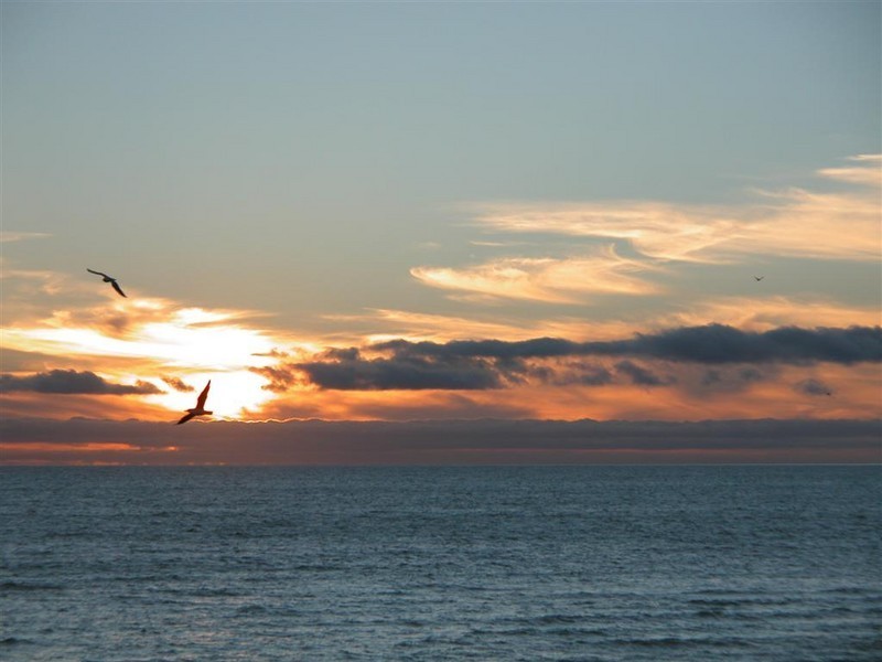 Lot 1003 Troon Drive, Normanville SA 5204