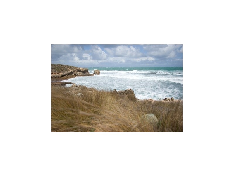 Shipard Ct /Alexander Drive, Robe SA 5276