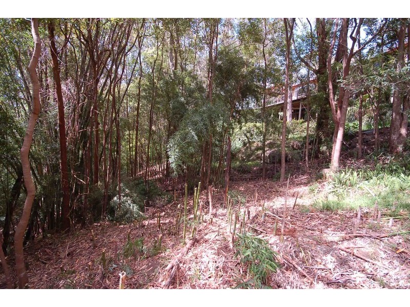 23 Bangalore Street, Ourimbah NSW 2258