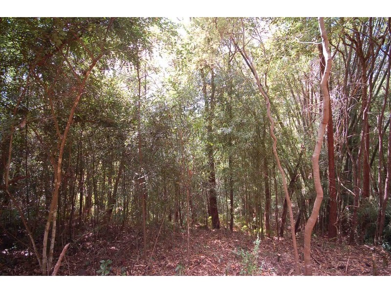 23 Bangalore Street, Ourimbah NSW 2258