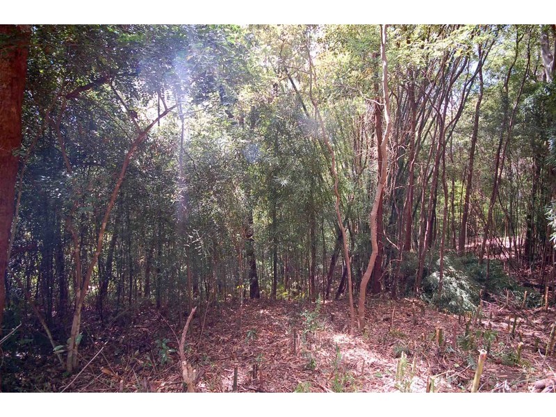 23 Bangalore Street, Ourimbah NSW 2258