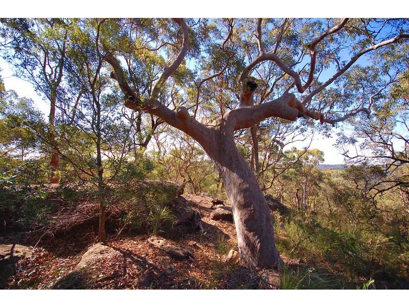 447 Pacific Highway, Kariong NSW 2250