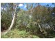 410 Glenrock Parade, Tascott NSW 2250