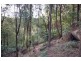 410 Glenrock Parade, Tascott NSW 2250