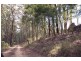 6050 Lot 66 The Ridgeway, Lisarow NSW 2250