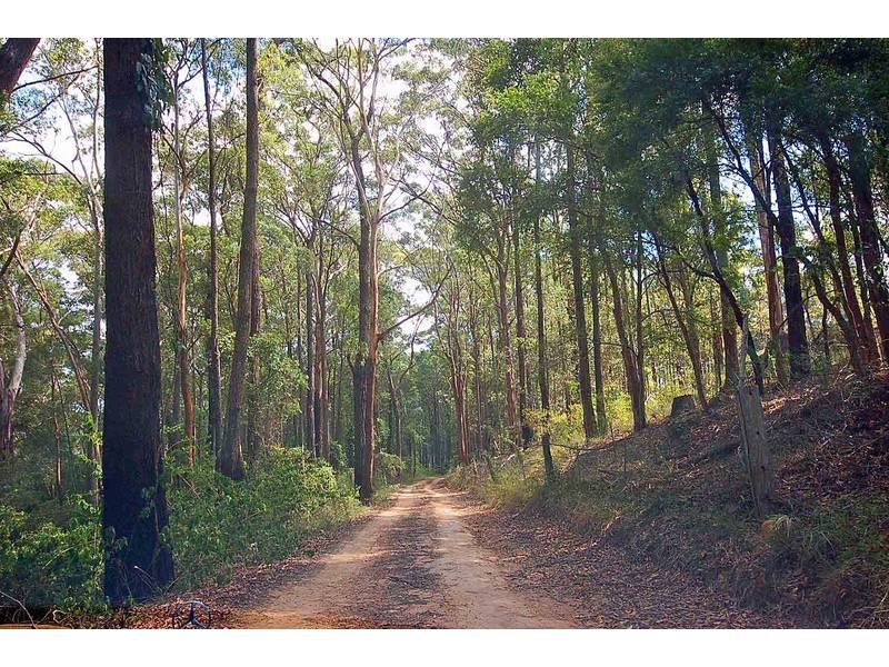 6050 Lot 66 The Ridgeway, Lisarow NSW 2250
