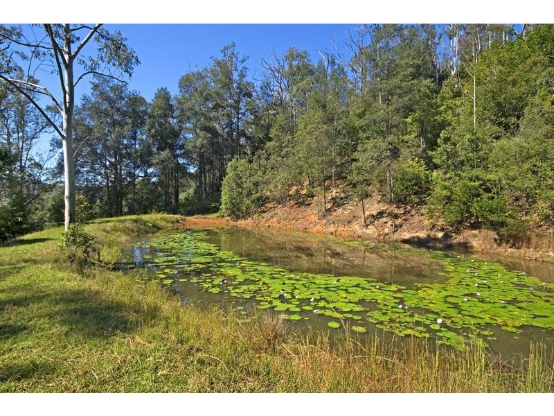 53 Peach Orchard Road, Ourimbah NSW 2258