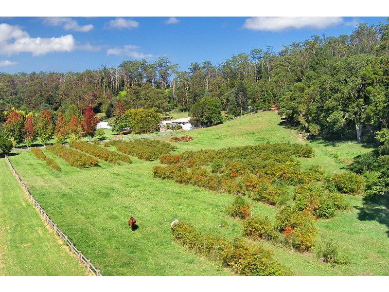 53 Peach Orchard Road, Ourimbah NSW 2258