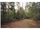 Lot 279 The Ridgeway, Tumbi Umbi NSW 2261