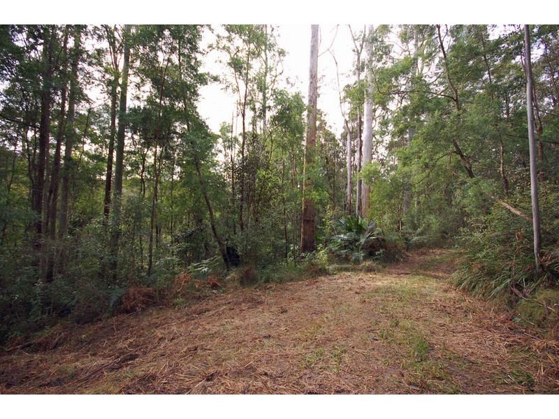 Lot 279 The Ridgeway, Tumbi Umbi NSW 2261