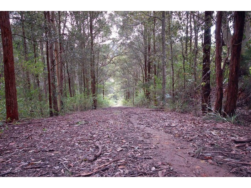 Lot 279 The Ridgeway, Tumbi Umbi NSW 2261