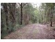 Lot 279 The Ridgeway, Tumbi Umbi NSW 2261