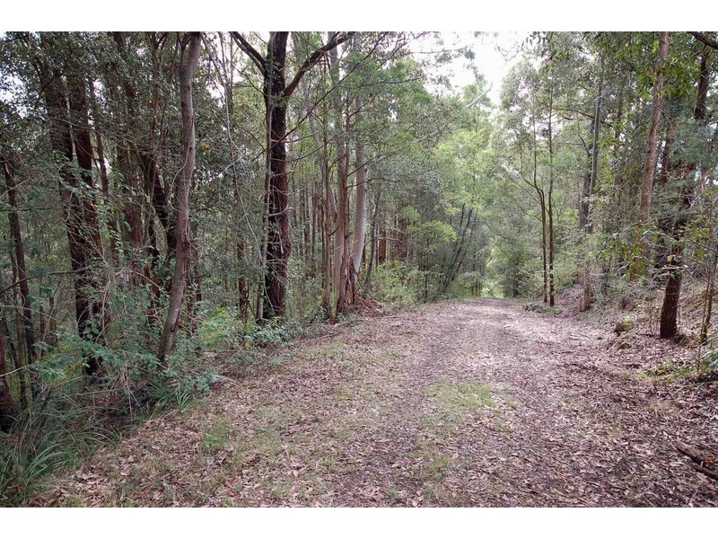 Lot 279 The Ridgeway, Tumbi Umbi NSW 2261