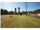 55 Barralong Road, Erina NSW 2250
