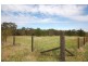 Lot 117 George Downes Drive, Central Mangrove NSW 2250
