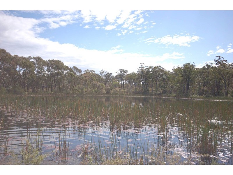 Lot 117 George Downes Drive, Central Mangrove NSW 2250