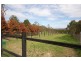 Lot 117 George Downes Drive, Central Mangrove NSW 2250