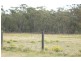 Lot 117 George Downes Drive, Central Mangrove NSW 2250