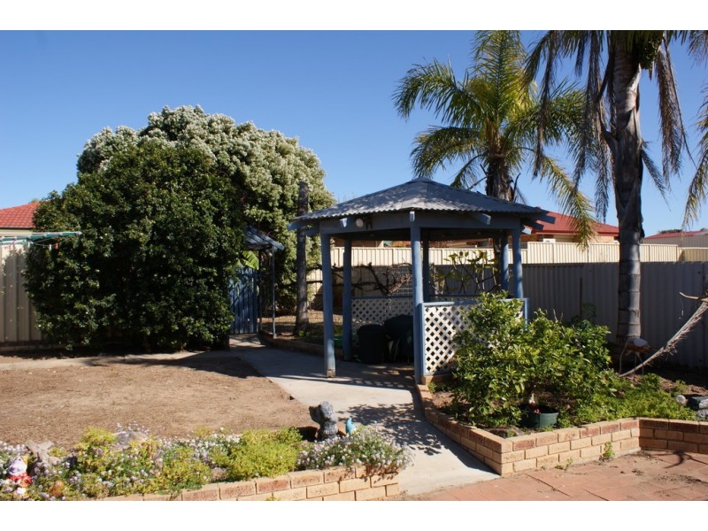 51 Waldeck Street, Dongara WA 6525